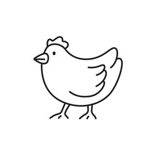Charming Chicken Illustrations: A Farmyard Delight