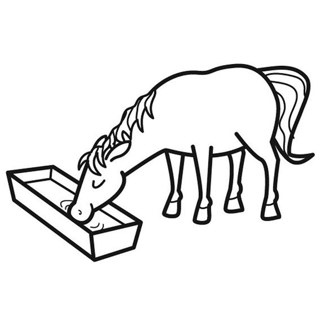 Thirsty Horse at the Trough: A Rural Farm Scene
