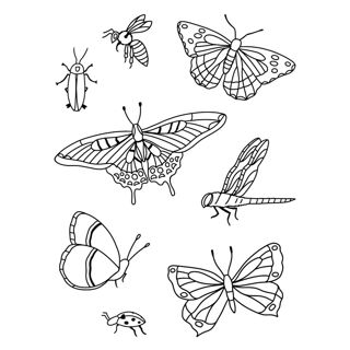Collection of Nature's Beauty: A Variety of Intricate Insects