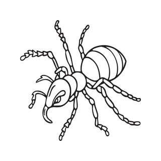 Intricate Illustrations: The World of Ants